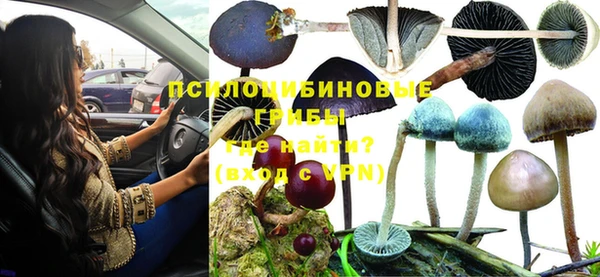 тгк Абинск